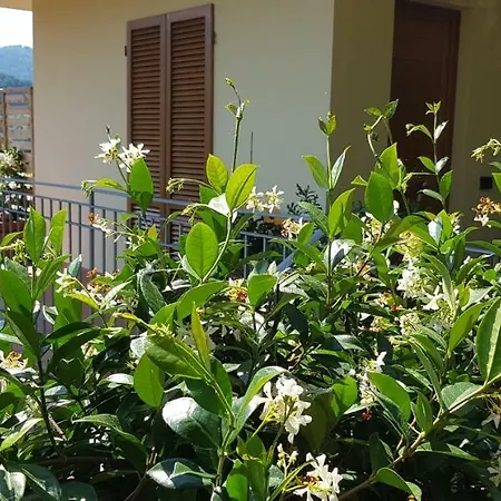 Casa Lia Massarosa